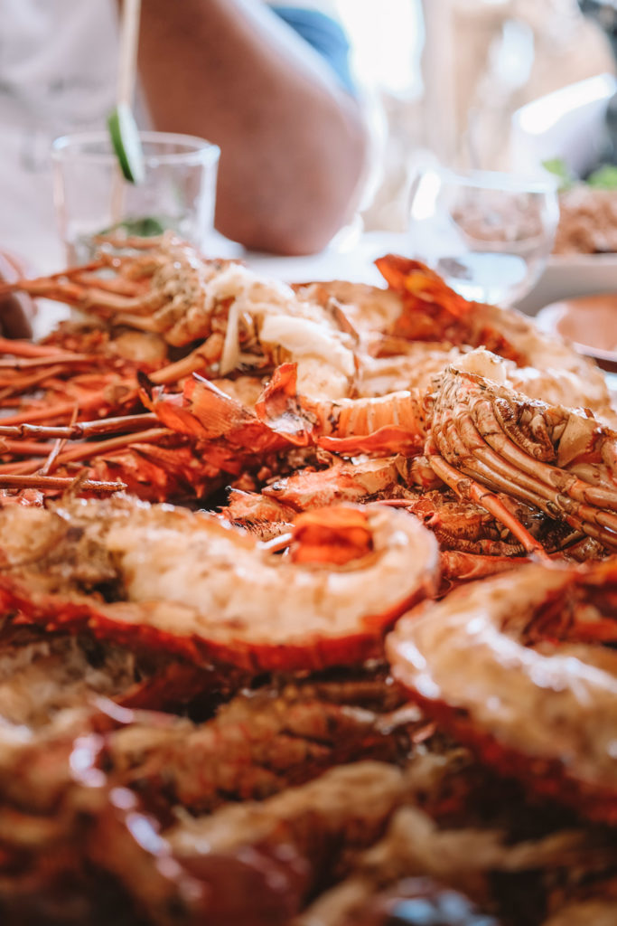 La Riviera des îles de Guadeloupe : que faire, que voir ? - JOOWBAR